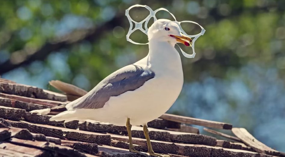 Give A Shit About Nature tweet media