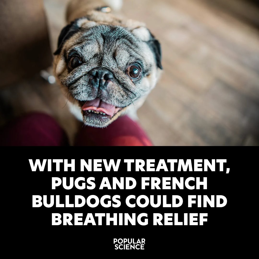 Popular Science tweet media