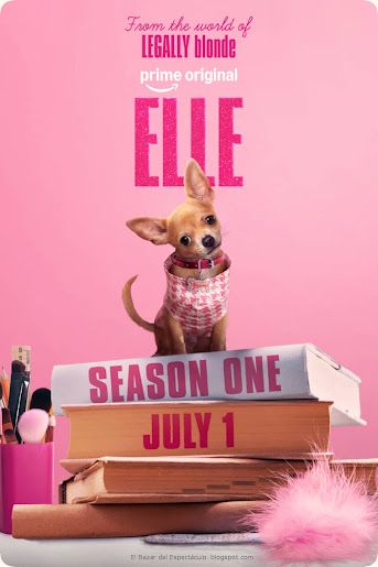 CintiaAlviti's tweet image. Elle, precuela de Legalmente Rubia, fecha estreno serie con Lexi Minetree, sinopsis, elenco: Prime Video / #Streaming

LEELO COMPLETO en EBDE» elbazardelespectaculo.blogspot.com/2026/04/elle-p…