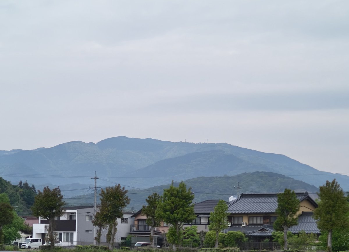 美濃のQ tweet media