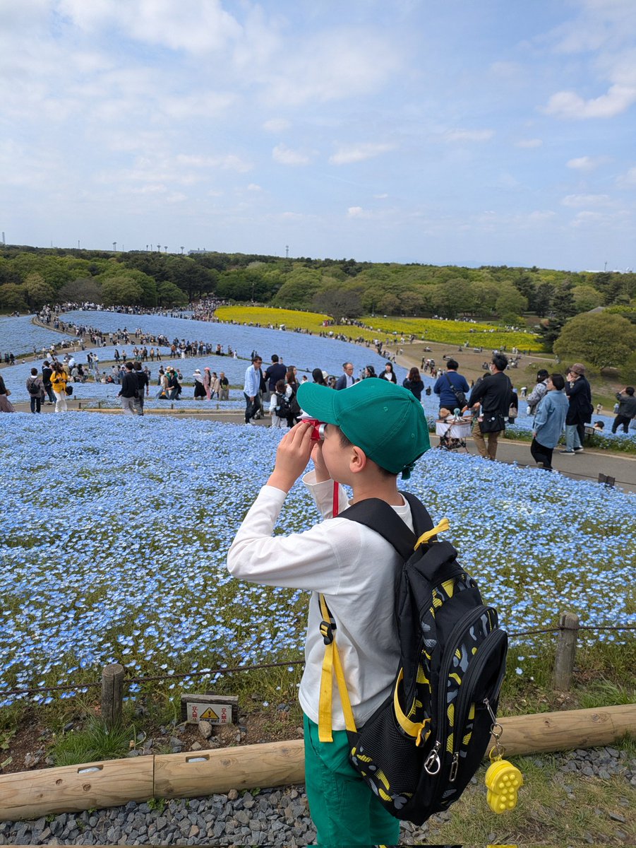 hide_mon_'s tweet photo. 先週末に行ったひたち海浜公園
ネモフィラあれだけ一面に咲いてると圧巻 https://t.co/O8IjkvKScY