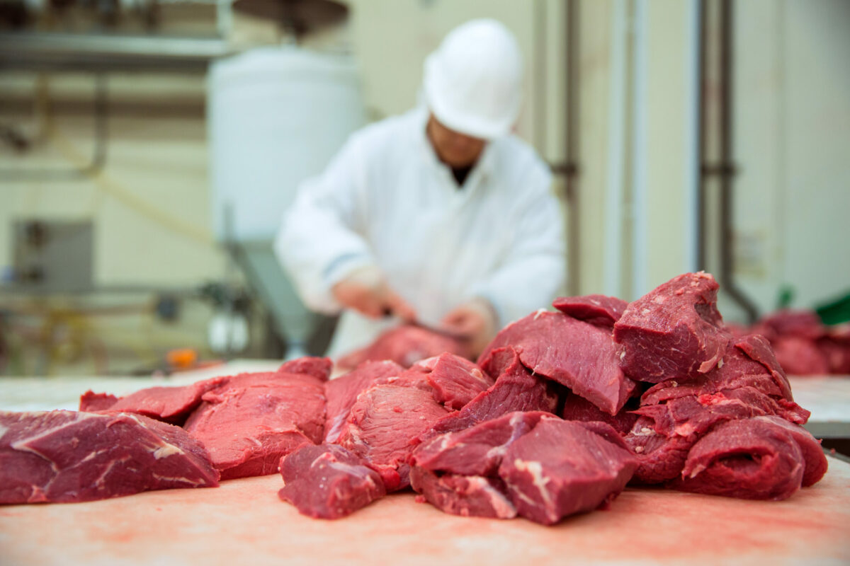 FabFarmBabe's tweet photo. Beyond The Butcher Block: Industry Trends &amp; WAMP Strategy https://t.co/9p37nvLKso https://t.co/3S8JSXXDC3