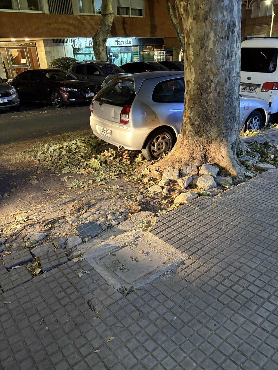 MariaLauraMCIF's tweet photo. Lo que anda bárbaro es el barrido en lamontevideo https://t.co/byE6fNwhxh