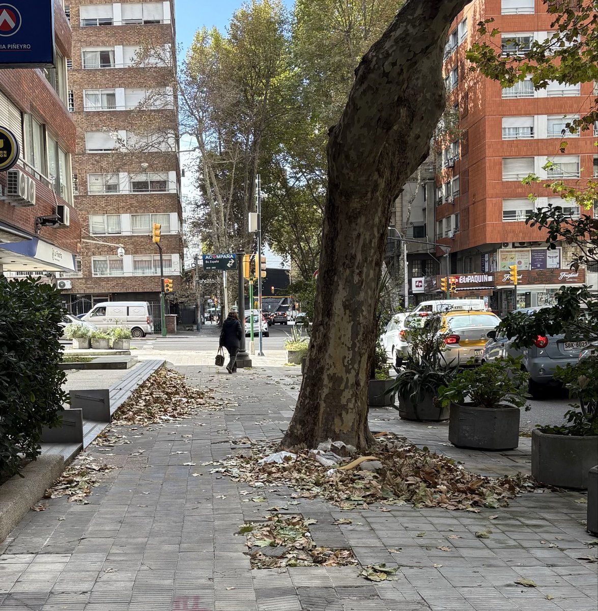 MariaLauraMCIF's tweet photo. Lo que anda bárbaro es el barrido en lamontevideo https://t.co/byE6fNwhxh