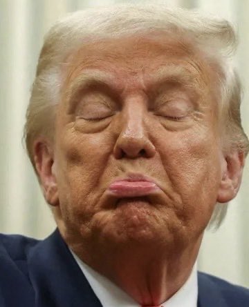 Common Sense 🇺🇸💙 tweet media