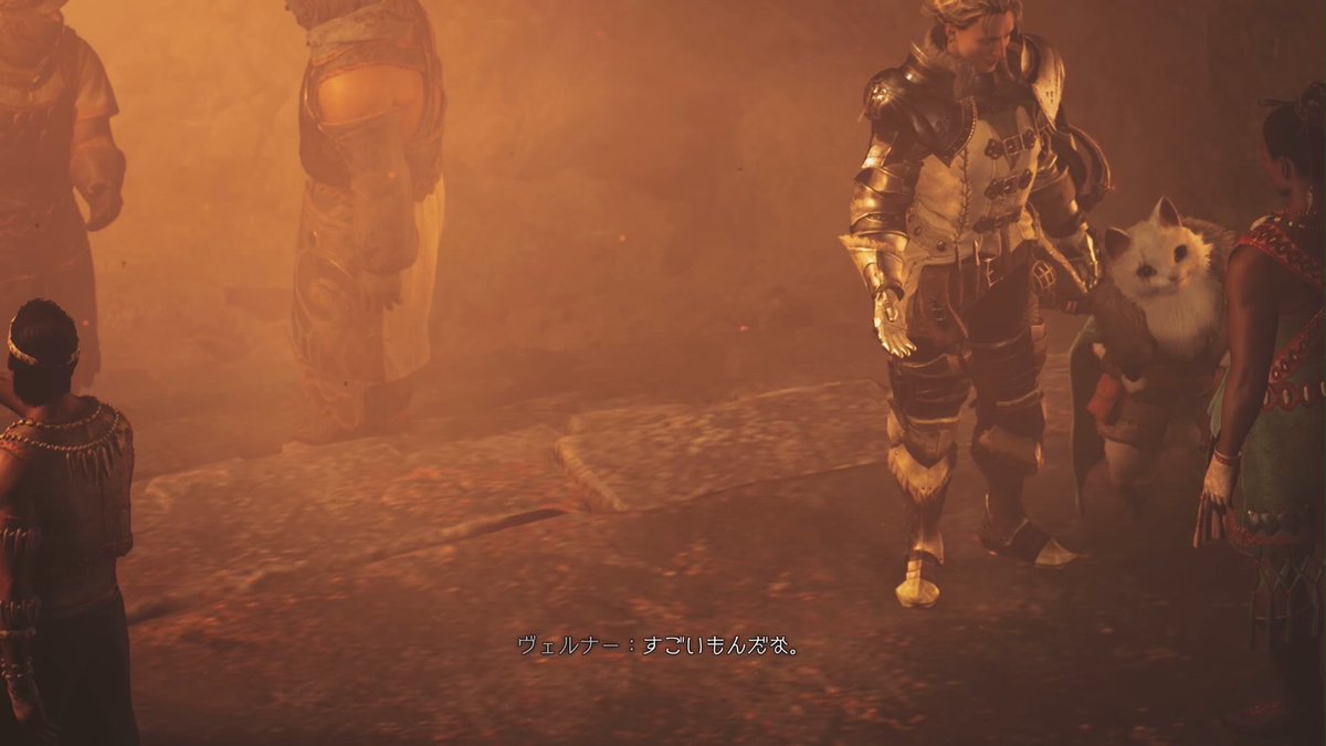 ヴェルナーさん？どこ？
#MHWilds