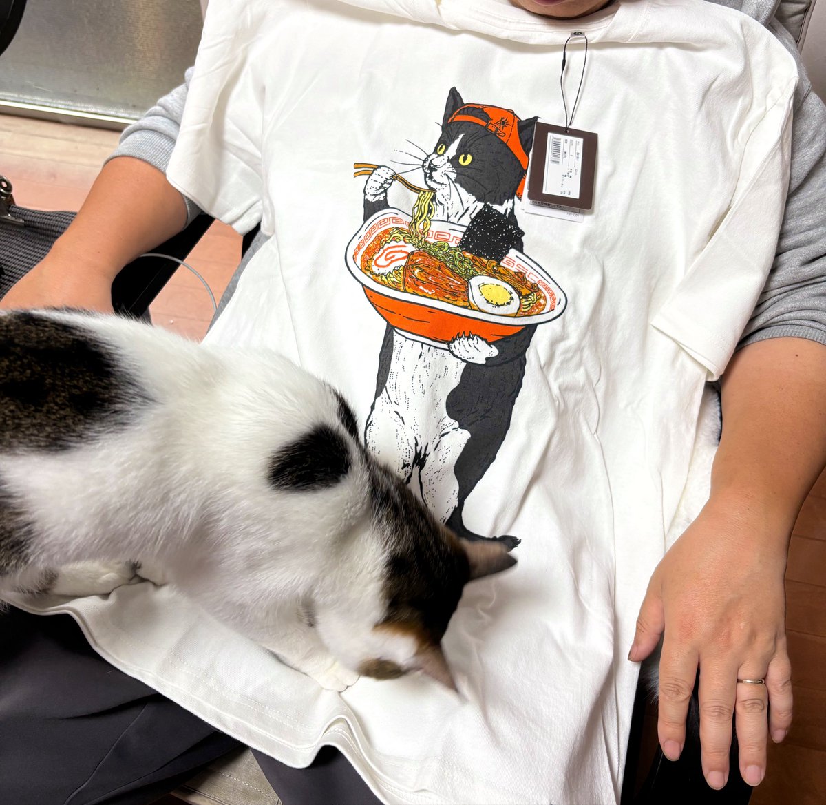 こぶちゃ🐈 tweet media