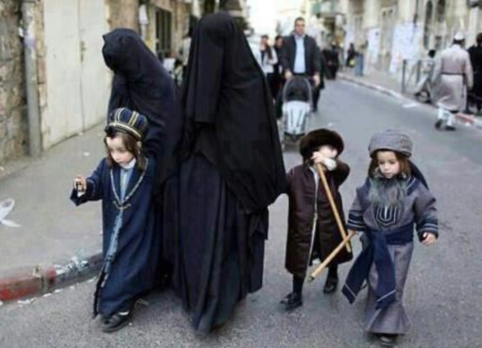 🇩🇿 1.2.3 viva l'algerie tweet media