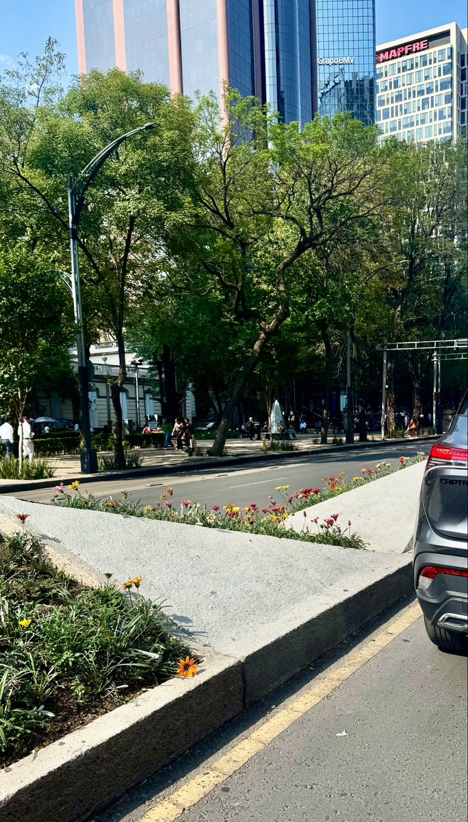 Se imaginan que a aaaalguien con mal gusto (<a href="/ClaraBrugadaM/">Clara Brugada Molina</a> ) de le ocurriera pintar de morado chillón las jardineras de Reforma? 
Es lo único que le falta 🤮
#CDMX