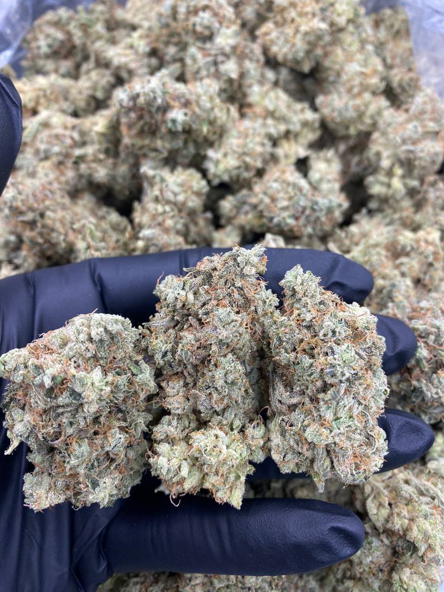 SONIC BUDS tweet media