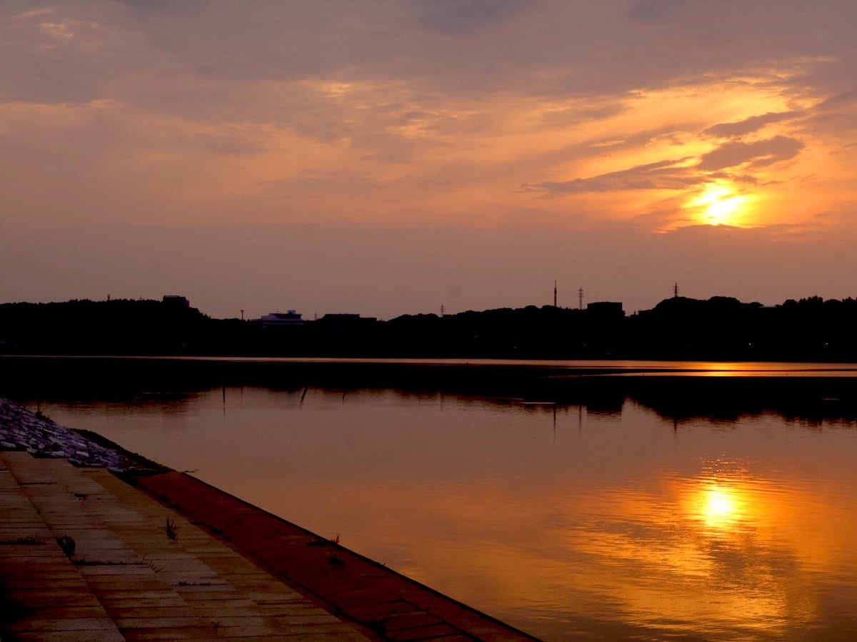 なつき tweet media