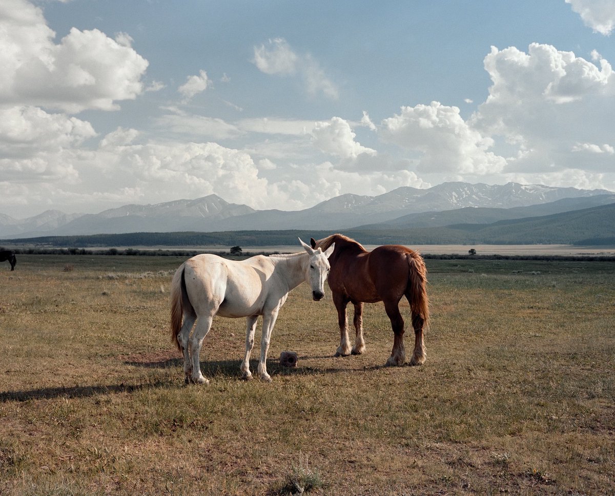 Nathan A. Bauman tweet media