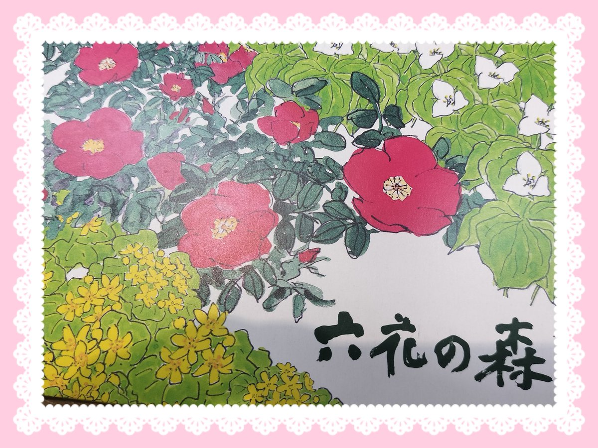 🌸まりりん🌸(sakura) tweet media