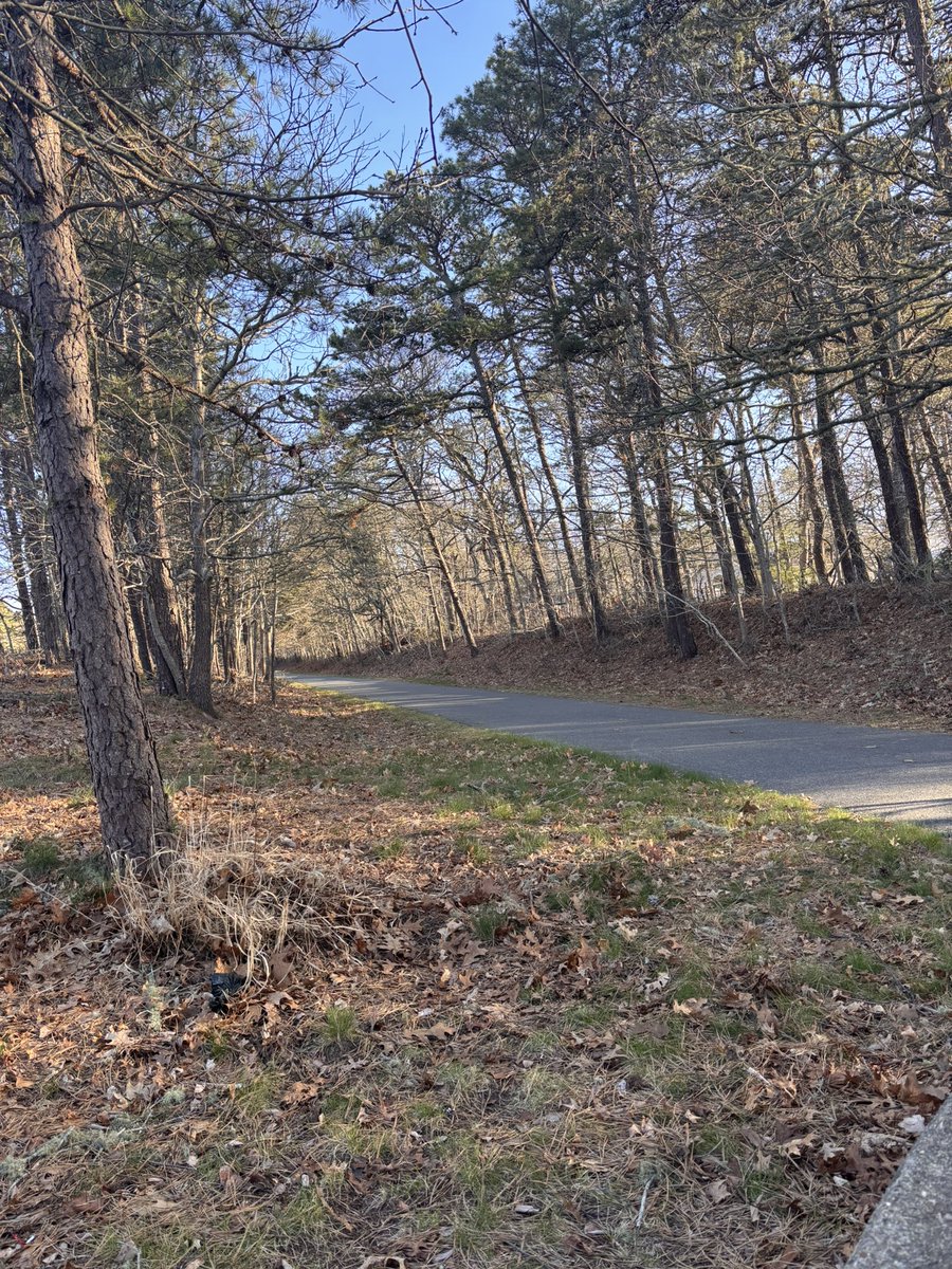 alex 🔎 tweet media