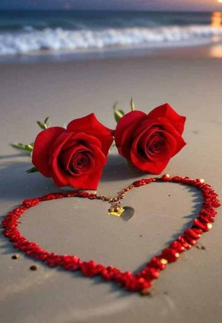 Mh39637's tweet photo. الحب اصادق نعمه https://t.co/NwaNb2zC0P