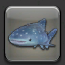 ジンベェ釣れた🎣