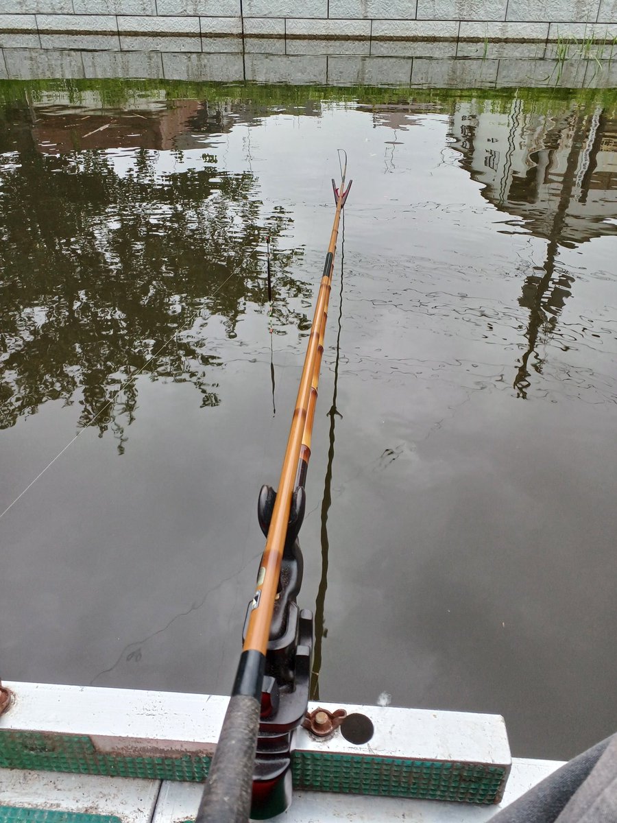 つば🌟やん🐟️ tweet media