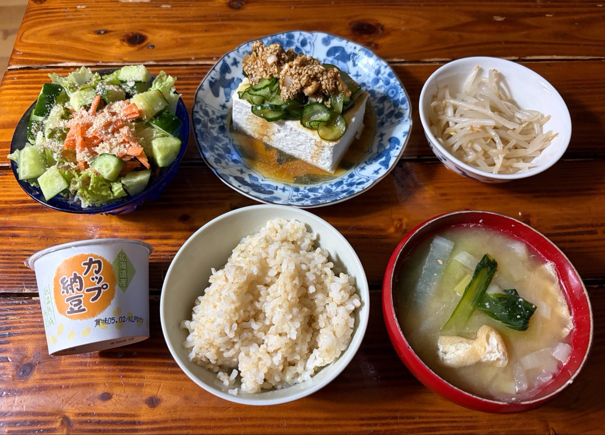 vegelovecat's tweet image. おはよー
5:00出発早朝散歩 朝も20℃なんか湿度高く蒸し暑い ミズさんいつもと違うコースを選び3キロ歩いてきたよ
昨夜はネギゴマだれできゅうり奴 サラダ ナムル 味噌汁 納豆 
 #vegan #ヴィーガン #保護猫を家族に #保護犬を家族に
だいぶ出来るようになった坊やの歯磨き 途中一度立ち去り前半と後半