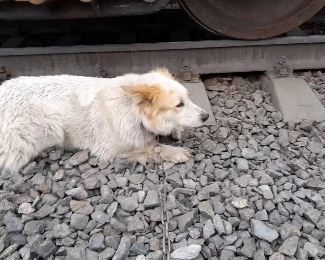 Валерий tweet media