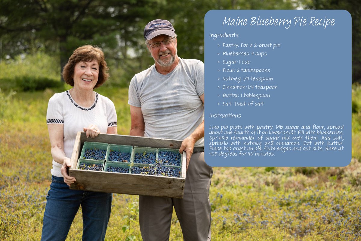 Susan Collins for Senator tweet media