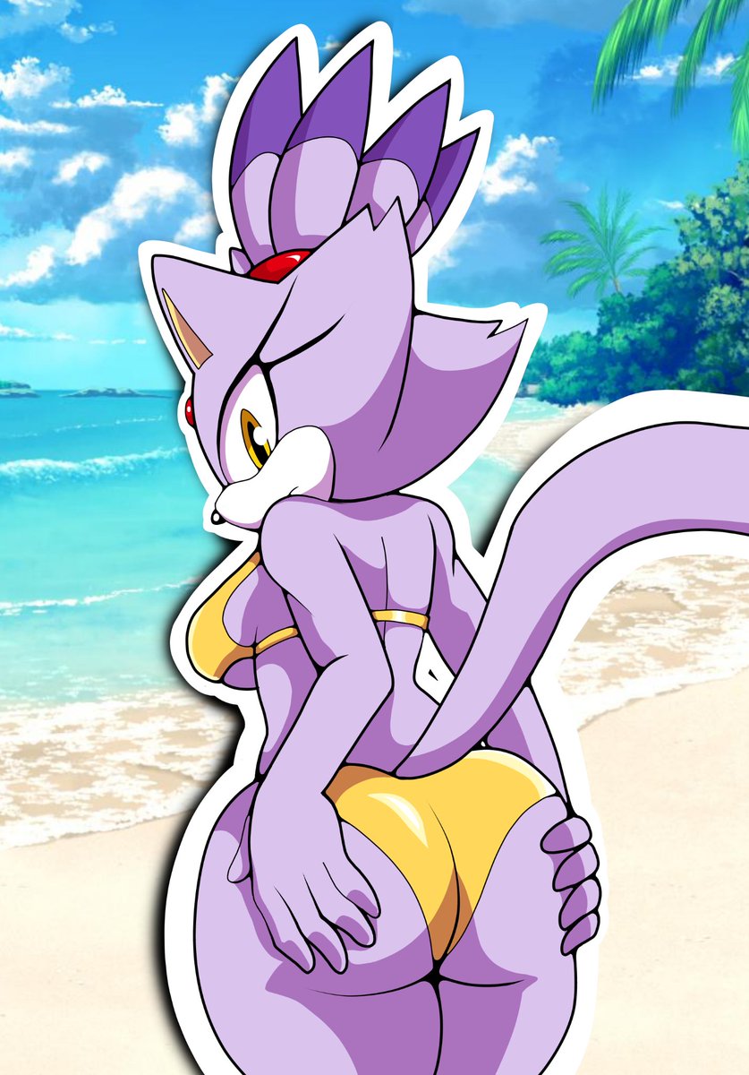 💜B00tleg💜 Blaze The Cat fan tweet media