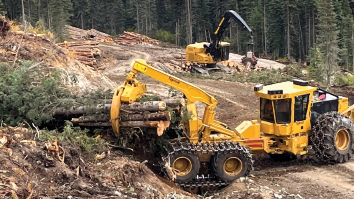 ForestryInBC's tweet photo. Forestry is a solution for B.C.—for housing, for communities, for our economy.

Realizing that potential starts with a more unified voice across the sector. Learn more in the article below, and go to https://t.co/L6ICp946SM to add your voice.

https://t.co/z7YWYx2hDw https://t.co/9F1XmQY5rV