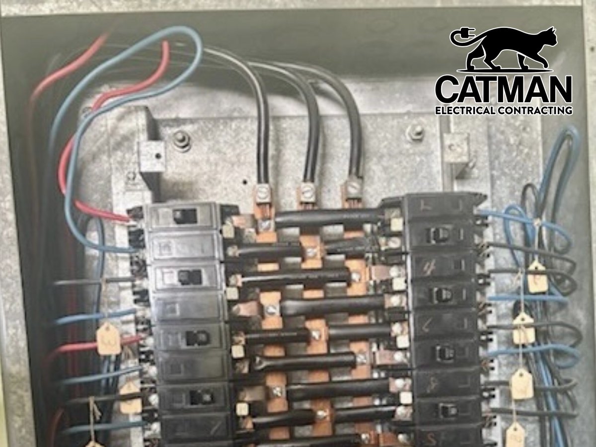 Catman Electrical Contracting tweet media