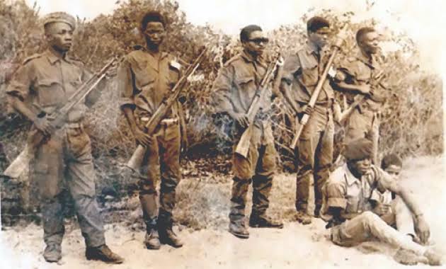 Clint Warren-Davey tweet media