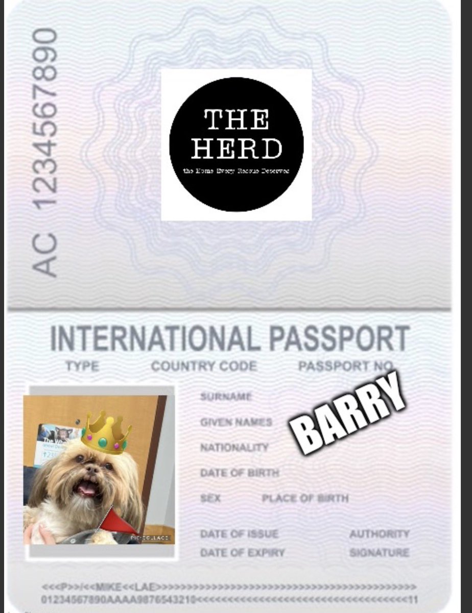 THE HERD HOUSE tweet media