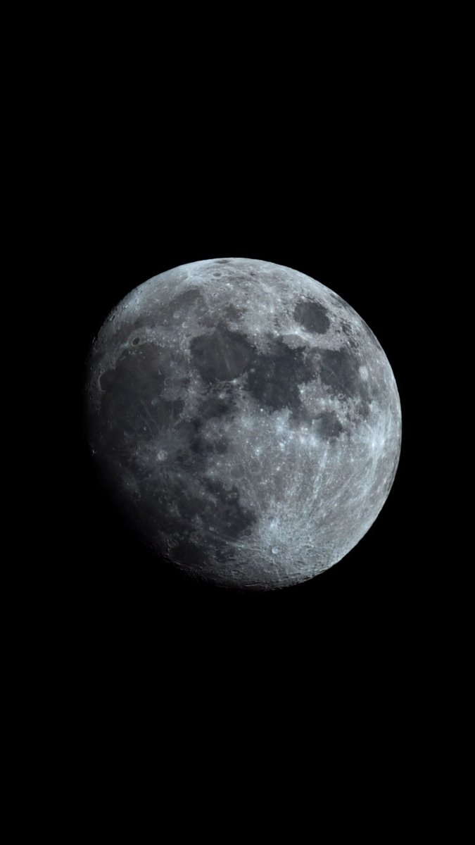 Rad van Mad tweet media