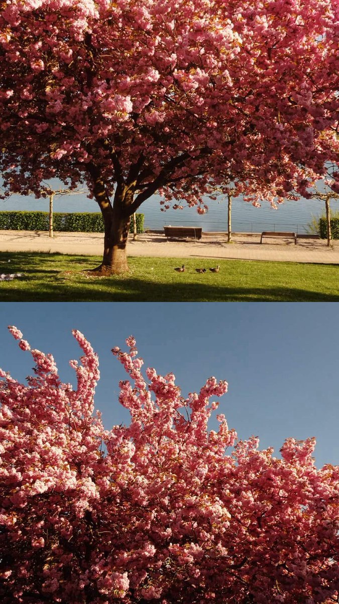 aley on fire˙ᵕ˙ tweet media