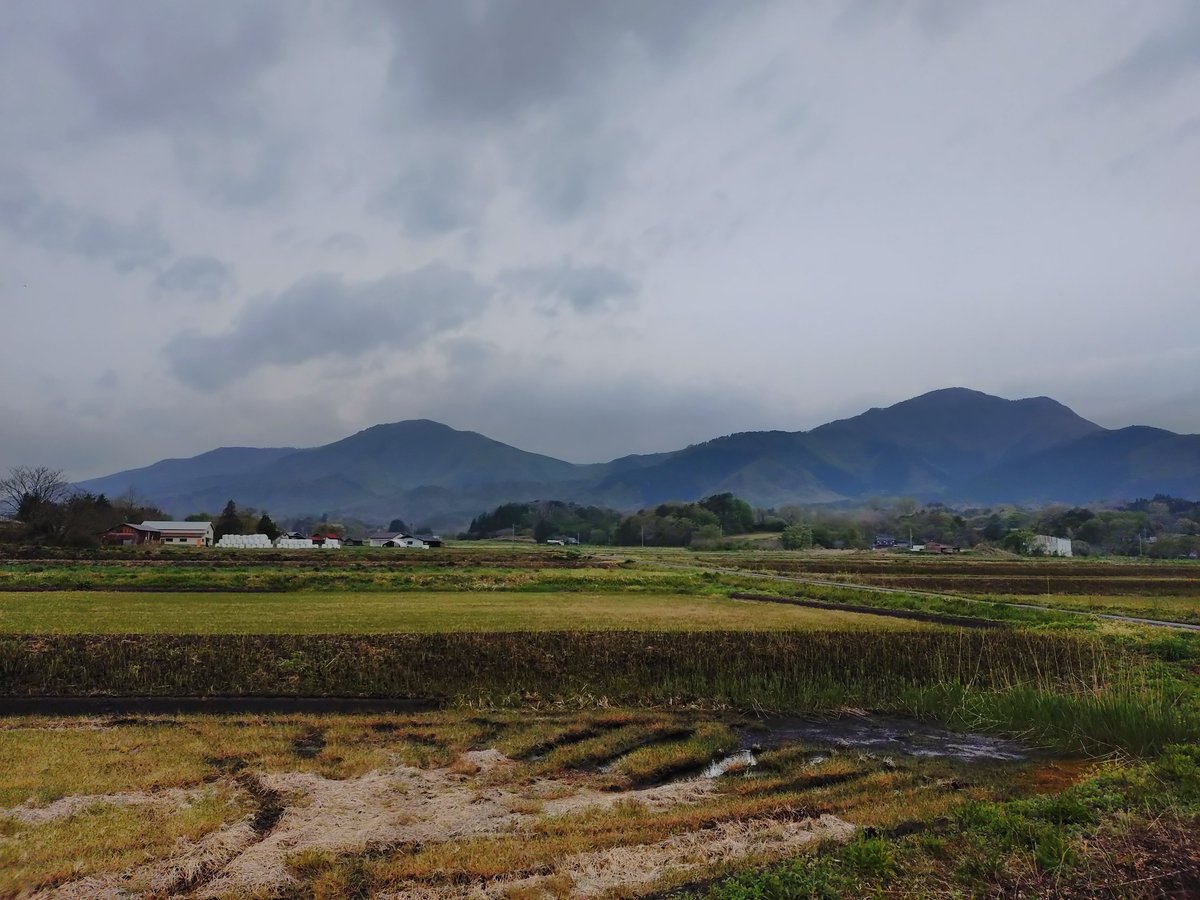 パイナポゥ tweet media