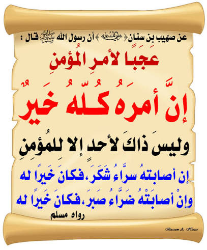 Hanan M. Reda tweet media
