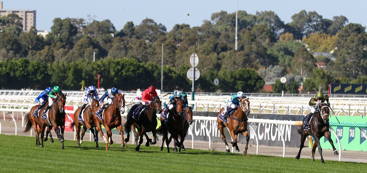 KarakaChat's tweet photo. Blind Raise (NZ) Remains Unbeaten in ANZAC Day Stakes 🏆
Graduates of Karaka 2025 have made their presence felt in feature two-year-old racing in Melbourne this season, and that continued with the undefeated #BlindRaise (NZ) (Ace High) in the A$175,000 Listed ANZAC Day Stakes (1400m) at @FlemingtonVRC on Saturday. 🎉
Blind Raise was bred by The @OaksStud and is a grandson of their seven-time Group One winner Seachange (NZ) (Cape Cross), who was New Zealand’s Horse of the Year in 2006-07 and 2007-08. The Oaks offered Blind Raise in Book 1 of Karaka 2025, where trainers Trent Busuttin and Natalie Young purchased him for $70,000. - @busuttin
From an unblemished two-start, two-win career, Blind Raise has earned A$140,725 with the promise of much more in store.
“He was pretty impressive,” Busuttin said. “The market said he would be hard to beat, and they were right.
“You always want to see them do that, especially at their second start. He’s taken that next step and he’s done it pretty easily. I’d say he floated a bit when he was out in front by himself, but it’s good to get the job done.
“He’ll head up to Queensland now, where we’ll have a crack at the Sires’ Produce Stakes (Group Two, 1400m, May 30) and the JJ Atkins Stakes (Group One, 1600m, June 13).”
Read the full story here 📰: https://t.co/odTDxtQ8Ew
📸: Bruno Cannatelli