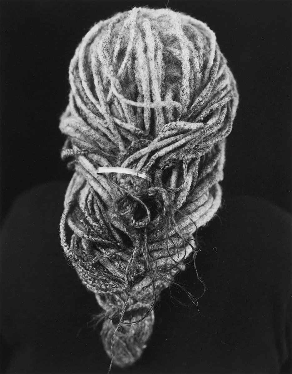 🪘🪈🎻🪉 tweet media