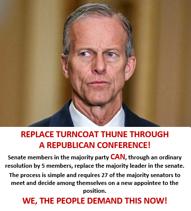 TerryLee276610's tweet photo. @Milajoy @LeaderJohnThune WHERE are the repub senators who will get RID of turncoat thune?  Are you ALL on the take?  WE, THE PEOPLE are watching and WILL be voting in the primaries AND the midterm elections!  WE are sick and tired of the BS in DC! https://t.co/ApFBqF0aPQ