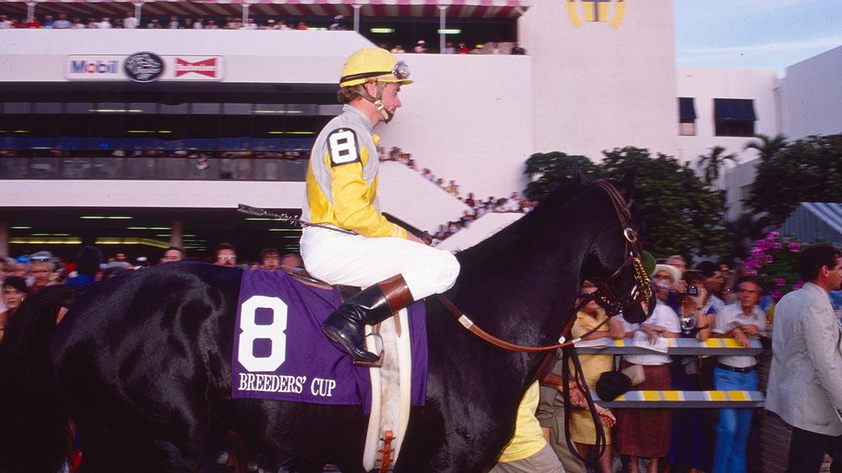 Breeders' Cup tweet media