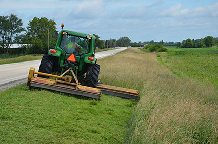 The county just mowed the roadside in June, and an entire generation of monarch caterpillars went with it.

In a lot of America, the strip of grass and wildflowers along rural roads is the last place milkweed still grows. 

Farm fields got sprayed. Suburbs got paved. The roadside