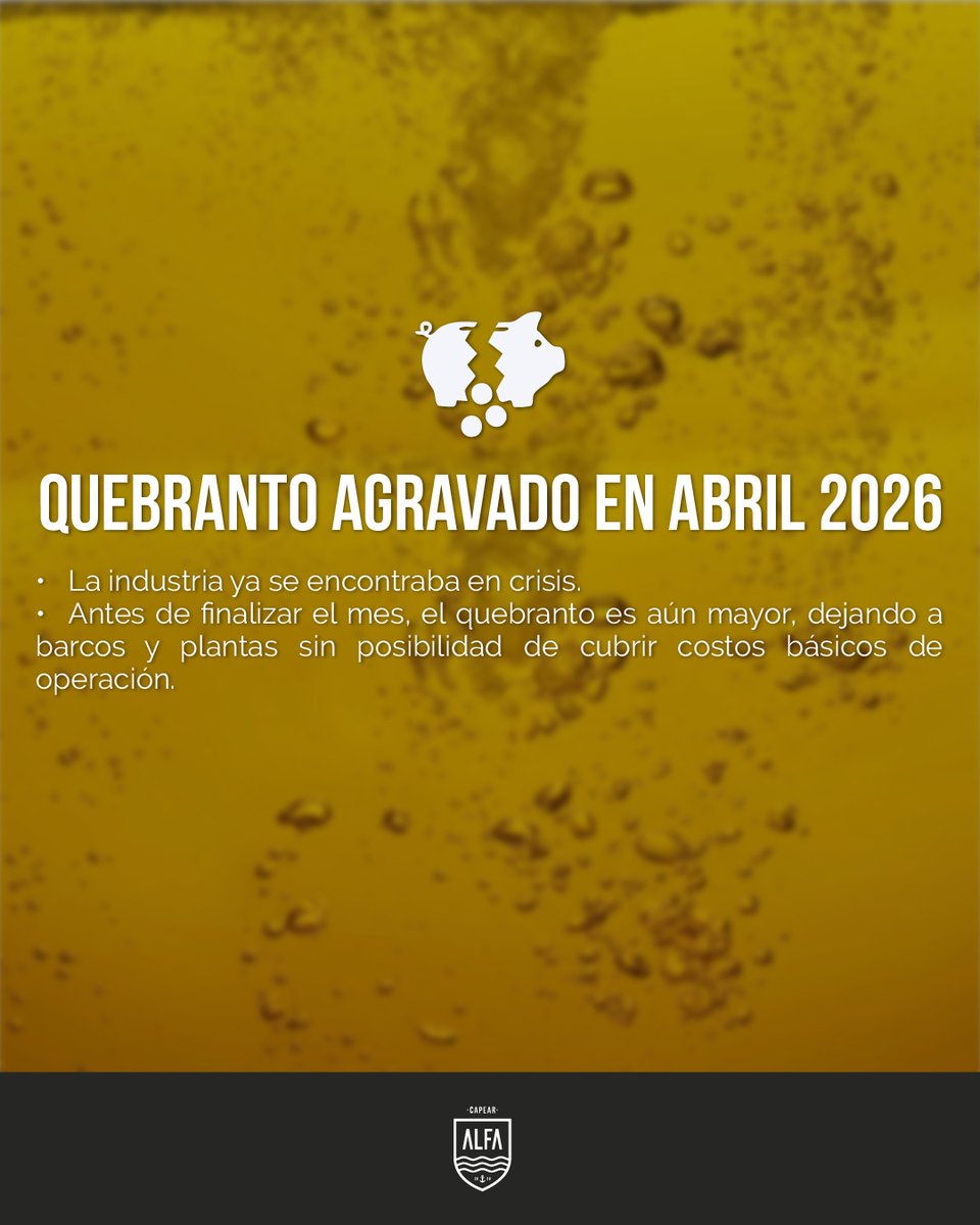 CAPEAR ALFA tweet media