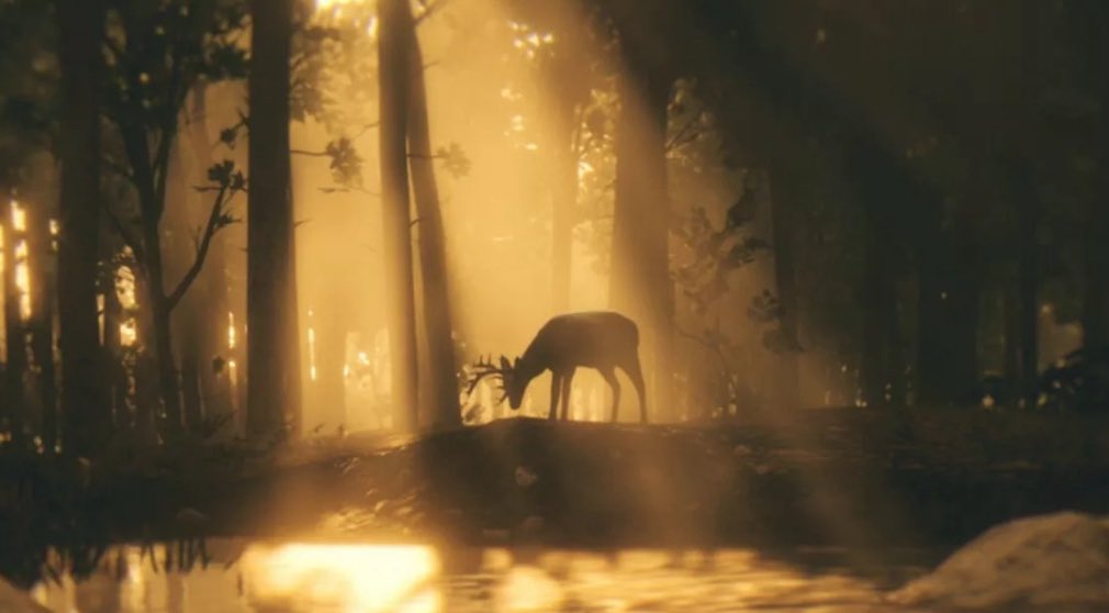 ✎ᝰ. Dalton M. Jones tweet media