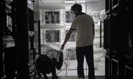 𑣲Project hail Romée || PHM 🪐 tweet media