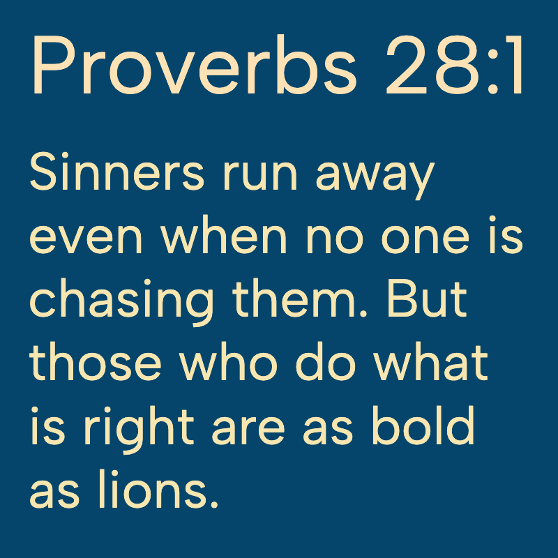 Daily Bible tweet media