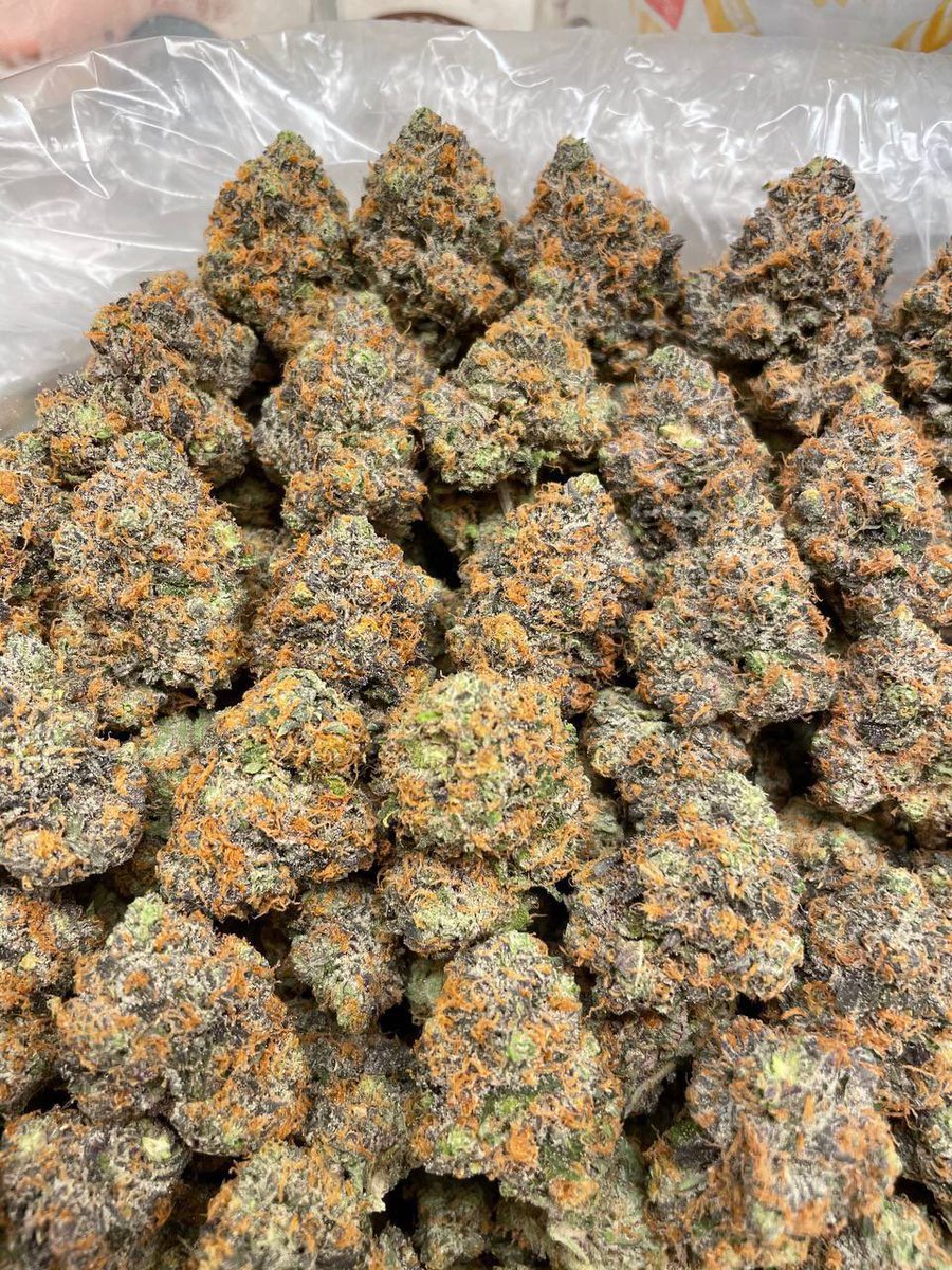 SONIC BUDS tweet media