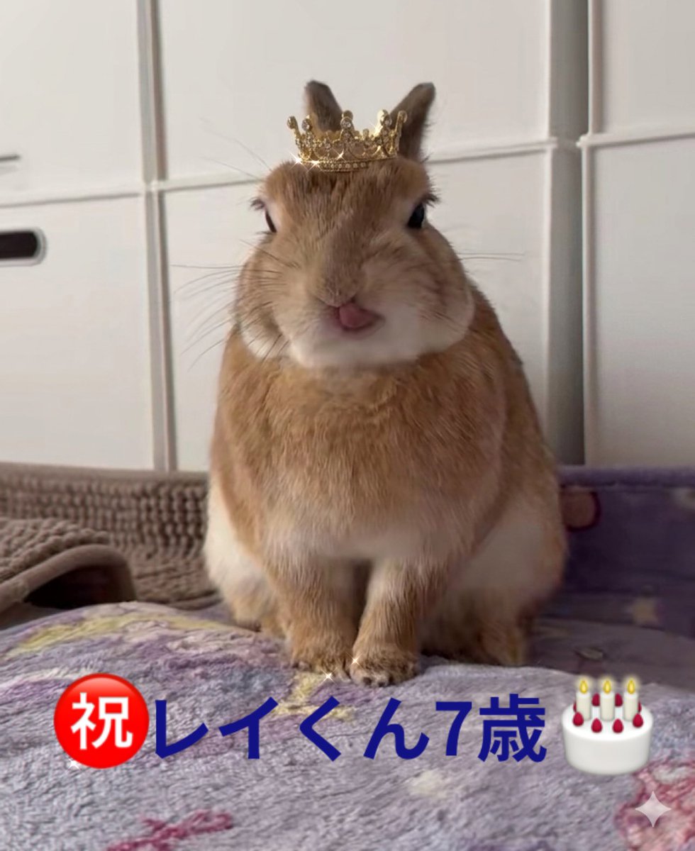 mi~k🐰レイくん tweet media