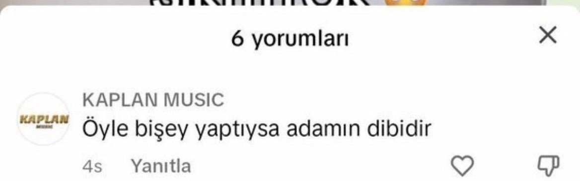 feniçka tweet media