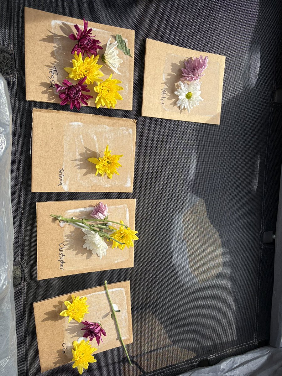 FletcherPlace's tweet photo. Family Engagement Night!  Parents &amp; children planted flowers &amp; seeds, drew flowers &amp; plants, &amp; even reconstructed flowers to learn more about how they grow.  These nights provide guided activities that families can enjoy together while building important early learning skills. https://t.co/GFs5NdTQwN