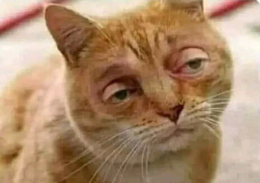 *☆A࣭࣪ꭑִׂ͓ׅ࣪ᦒ᩠ִׂ໋ׅ࣪꯱ָׂ Dυᥣᧉ᩠֗x Ⓧ🕷️ tweet media