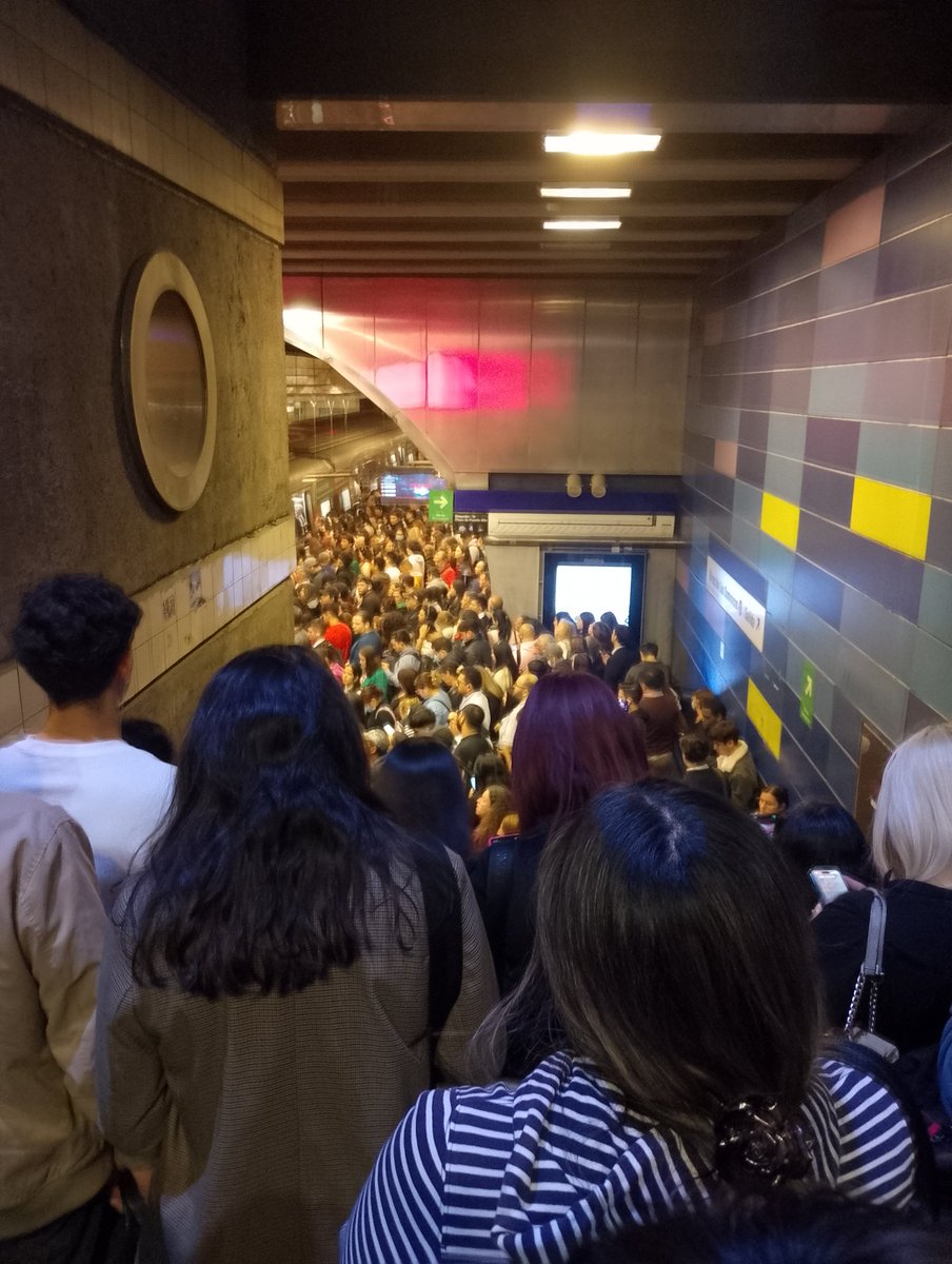 R Morales 🌳 tweet media