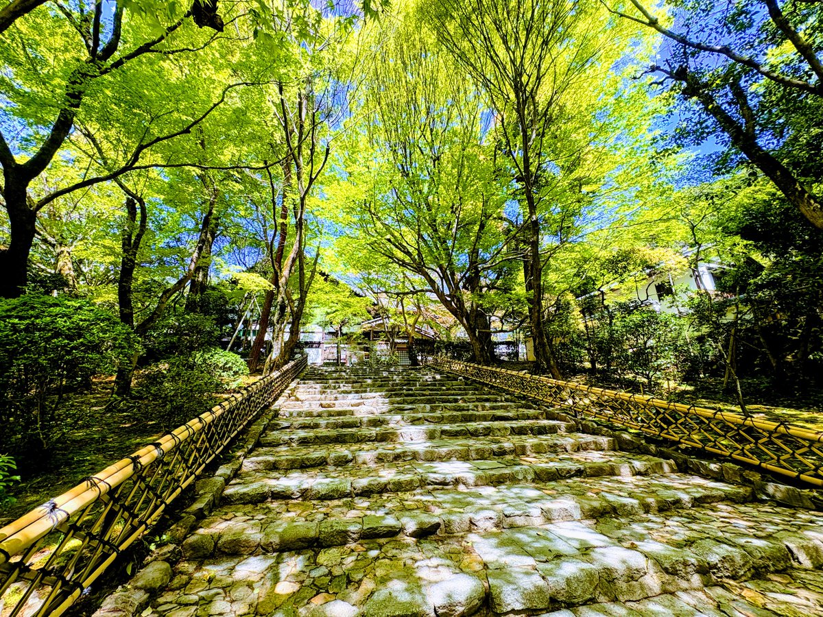 ゆーび🍀 tweet media