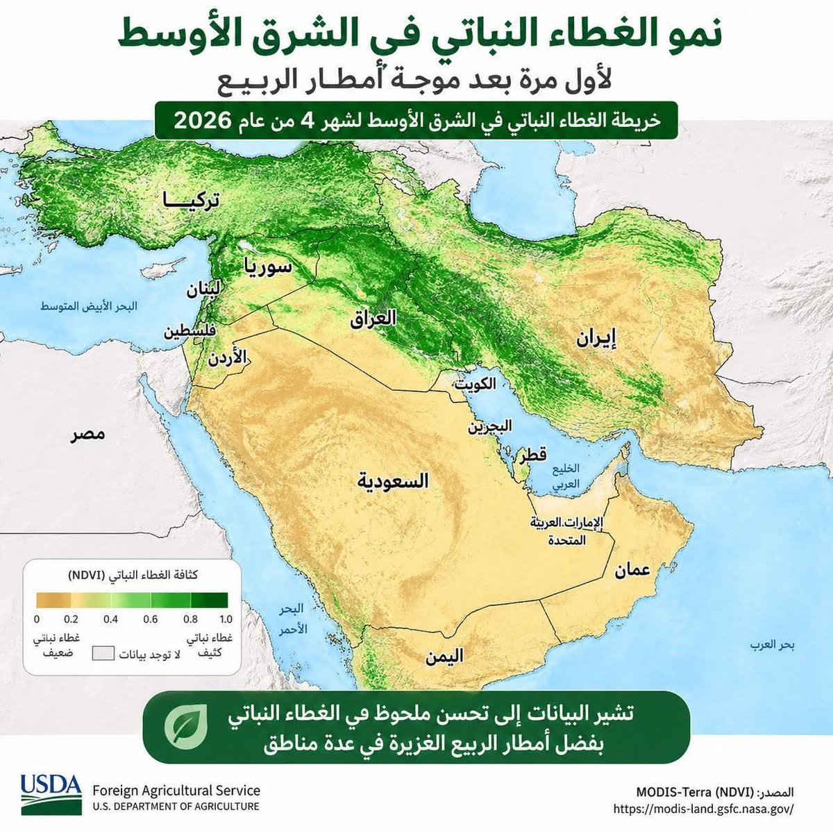 AHMAD SLMAN tweet media